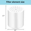 2Pcs Universal Shower Water Filter Cartridges with 20 Stage Reduces Chemicals and Chlorine