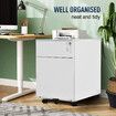 2 Drawer Steel File Cabinet White Metal Under Desk Office Filing Storage Furniture Locking Mobile Vertical Document Organiser Unit on 5 Wheels