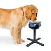 Adjustable Raised Dog Bowl Stand for Small, Medium & Large Dogs with Feeder Bowl