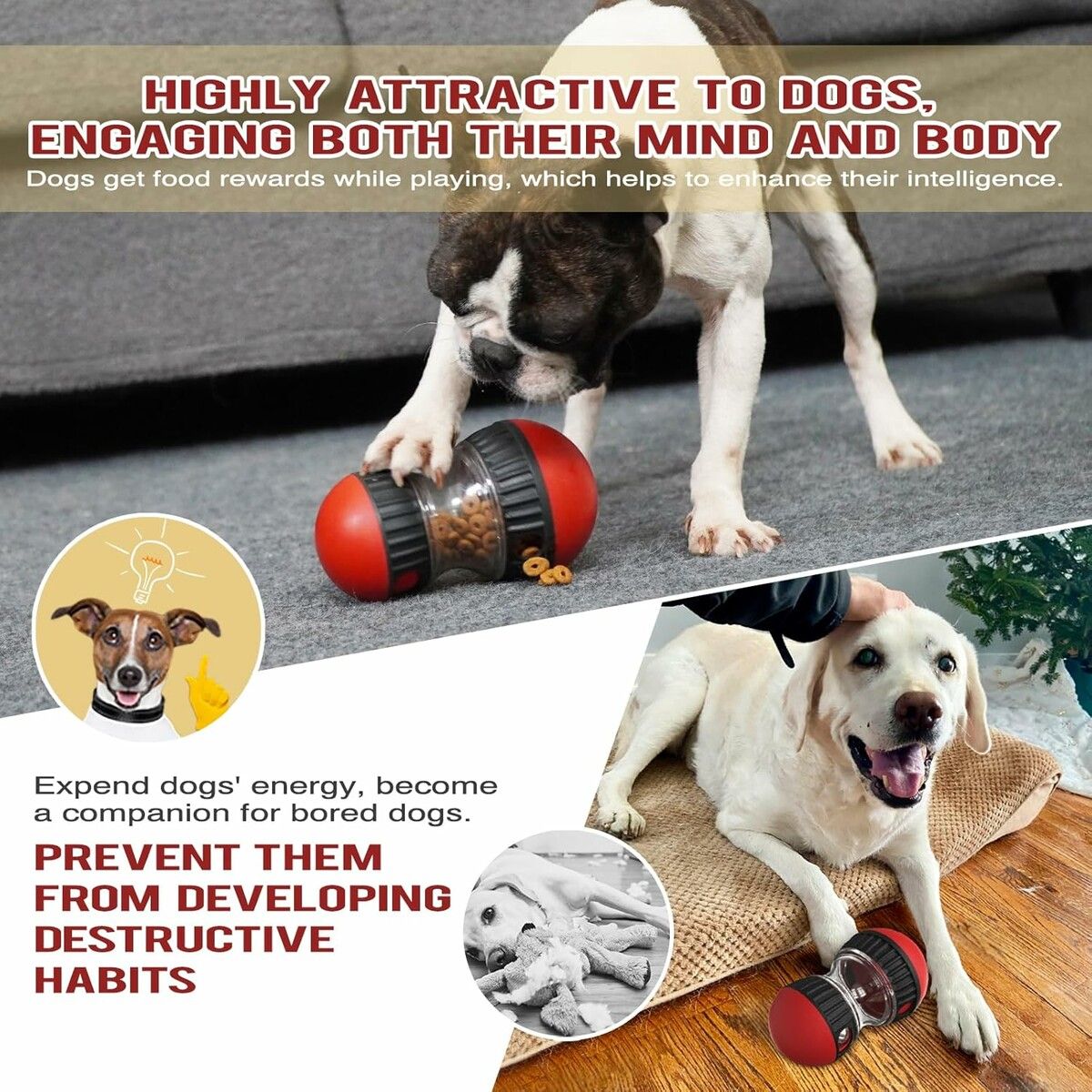 https://img.crazysales.com.au/products_pictures/341/341380_2996713_F.jpg