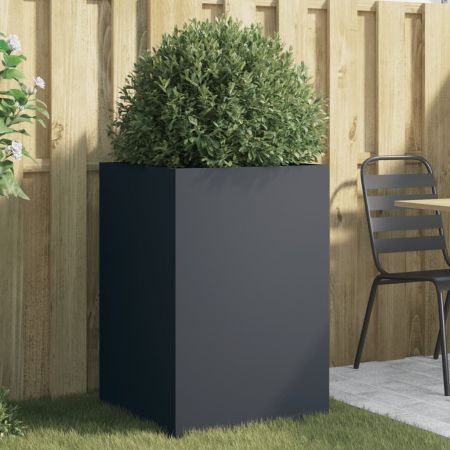 https://img.crazysales.com.au/products_pictures/3412/341298_2996058_F.jpg