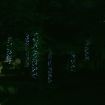 Stockholm Christmas Lights SOLAR TREE Curtain Lights Cool White LEDs Outdoor Use