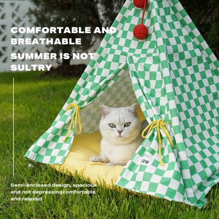 https://img.crazysales.com.au/products_pictures/3428/342866_3012064_F.jpg
