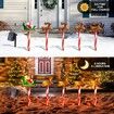 5 Pack LED Christmas Solar Power Ground Stake Outdoor   Pathway  Party Supply Waterproof Solar IP65 Christmas