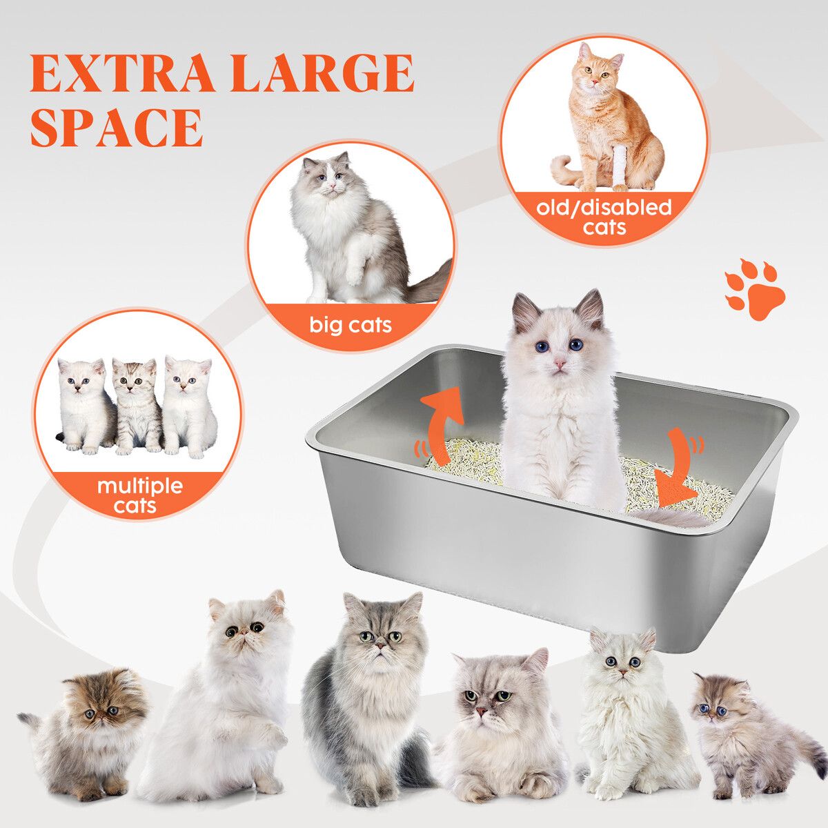 https://img.crazysales.com.au/products_pictures/343/343130_3015757_F.jpg