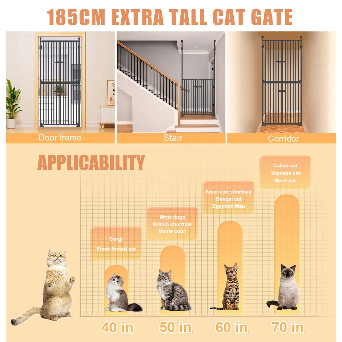 https://img.crazysales.com.au/products_pictures/343/343134_3015846_F.jpg