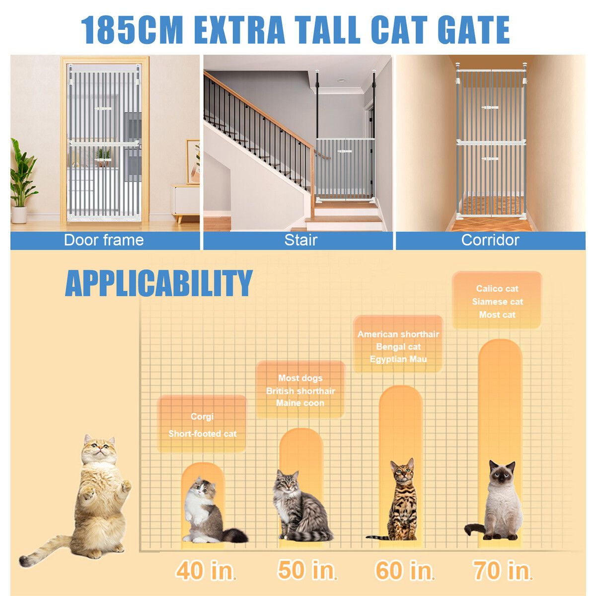https://img.crazysales.com.au/products_pictures/343/343135_3015867_F.jpg