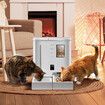 4L Automatic Pet Feeder 5L Waterer Set WiFi Smart Camera Record App Control Cat Dog Water Food Dispense Timed Digital Feeding Drinking PetScene