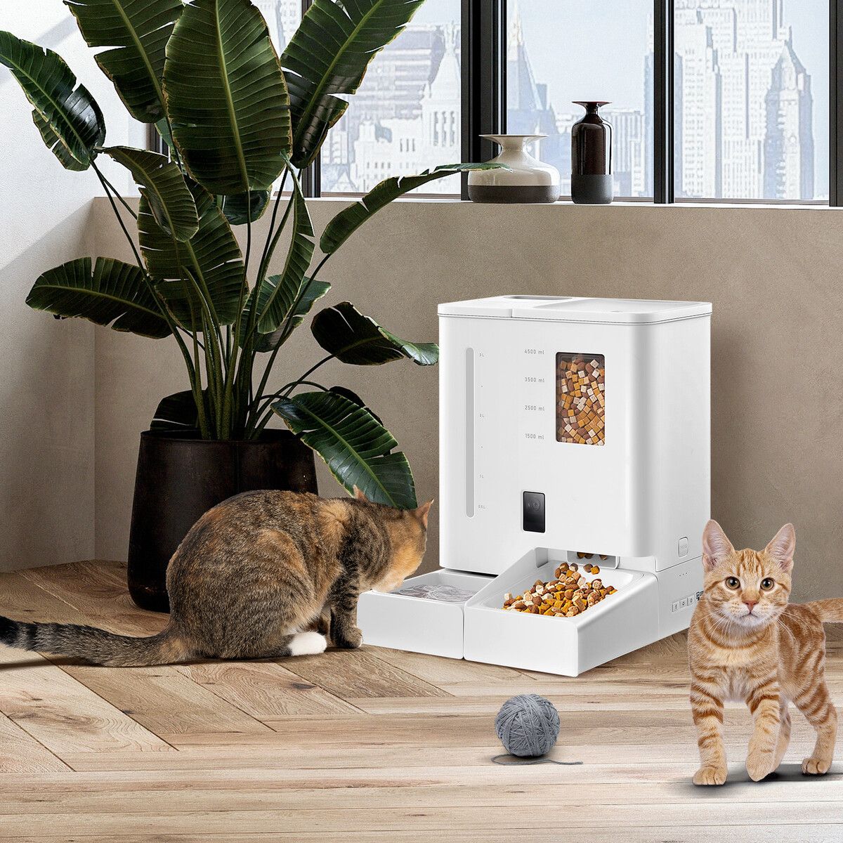 https://img.crazysales.com.au/products_pictures/343/343193_3017037_F.jpg