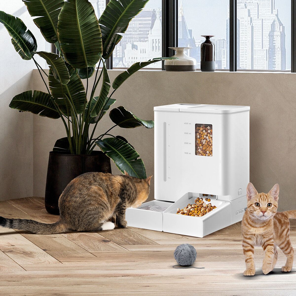 https://img.crazysales.com.au/products_pictures/343/343195_3017075_F.jpg