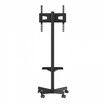 Mobile TV Stand, Mobile TV Cart for 23 to 60 inch TVs, Height Adjustable Portable TV Stand with Wheels, with A Tray for Audio-Visual Devices, Rolling TV Stand with Mount for Bedroom, Living Room