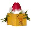 Christmas Tree Topper Funny Green Monster Hiding Behind Book Treetop Christmas Decoration