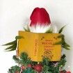 Christmas Tree Topper Funny Green Monster Hiding Behind Book Treetop Christmas Decoration