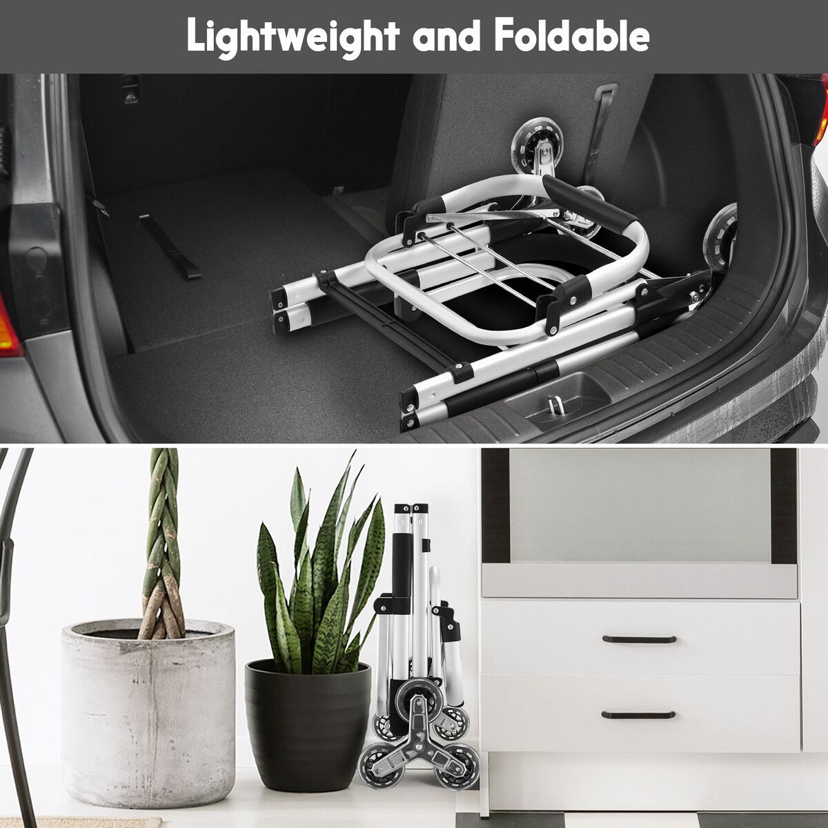 https://img.crazysales.com.au/products_pictures/343/343943_3025052_F.jpg