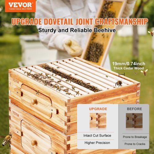 Bee Hive 20 Frame Bee Hives Starter Kit, Beeswax Coated Cedar Wood, 1 Deep + 1 Medium Bee Boxes Langstroth Beehive Kit, Transparent Acrylic Windows with Foundations for Beginners Pro Beekeepers