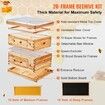 Bee Hive 20 Frame Bee Hives Starter Kit, Beeswax Coated Cedar Wood, 1 Deep + 1 Medium Bee Boxes Langstroth Beehive Kit, Transparent Acrylic Windows with Foundations for Beginners Pro Beekeepers