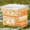 Bee Hive 20 Frame Bee Hives Starter Kit, Beeswax Coated Cedar Wood, 1 Deep + 1 Medium Bee Boxes Langstroth Beehive Kit, Transparent Acrylic Windows with Foundations for Beginners Pro Beekeepers