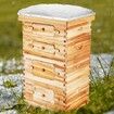 Bee Hive 40 Frame Bee Hives Starter Kit, Beeswax Coated Cedar Wood, 2 Deep + 2 Medium Bee Boxes Langstroth Beehive Kit, Transparent Acrylic Windows with Foundations for Beginners Pro Beekeepers