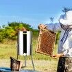Manual Honey Extractor, 2/4 Frames Honey Spinner Extractor, Stainless Steel Beekeeping Extraction, Honeycomb Drum Spinner with Lid, Apiary Centrifuge Equipment with Height Adjustable Stand