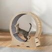 Cat Exercise Wheel Large Cat Treadmill Wheel for Indoor Cats 35.8 inch