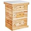 Bee Hive 30 Frame Bee Hives Starter Kit, Beeswax Coated Cedar Wood, 2 Deep + 1 Medium Bee Boxes Langstroth Beehive Kit, Transparent Acrylic Windows with Foundations for Beginners Pro Beekeepers