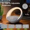 Bluetooth Speaker with Wireless Charger,Sunrise Simulation Wake Up Night Light for Bedroom Adjustable LED RGB Mode(Grey)
