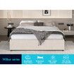 ALFORDSON Bed Frame Queen Size Gas Lift Storage Mattress Base Beige WILBUR