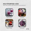 1Kg Acai Powder 100% Organic - Superfood Amazon Berries