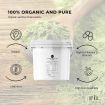 2.5Kg Organic Matcha Powder Tub Bucket Camellia Sinensis Green Tea Leaf