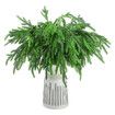 10 Pcs Christmas Norfolk Pine Branches, Norfolk Pine Artificial Christmas Branches DIY Crafts Faux Christmas Norfolk Pine Branches