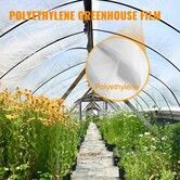 Greenhouse Film, Greenhouse Polyethylene Film 8x25 ft Greenhouse Plastic