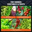 DWC Hydroponics Grow System Deep Water Culture with Top Drip 1 Bucket 20L