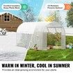 Walk-in Tunnel Greenhouse 9.58x6.43x6.23ft Galvanized Frame PE Cover White