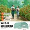 Walk-in Tunnel Greenhouse 19.36x9.68x6.5ft Galvanized Frame PE Cover Green