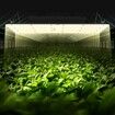 LED Grow Light, 400W Full Spectrum Dimmable, High Yield Samsung 2B1B Diodes Growing Lamp for Indoor Plants Seedling Veg and Bloom Greenhouse Growing, Daisy Chain Driver for 4x4/5x5 ft Grow Tent