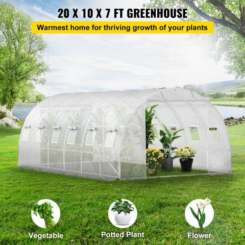 Walk-in Tunnel Greenhouse Galvanized Frame Waterproof Cover 20x10x7 ft