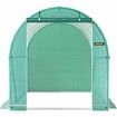 Walk-in Tunnel Greenhouse Galvanized Frame & Waterproof Cover 15x7x7 ft