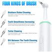 Electric Dog Toothbrush: Tartar and Plaque Cleaner with 4 Brush Heads for Pets