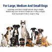 Smart Anti-Bark Dog Training Collar: Waterproof, Rechargeable, and Remote Control
