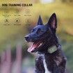 Smart Anti-Bark Dog Training Collar: Waterproof, Rechargeable, and Remote Control