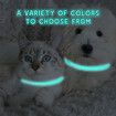 2-Pack Effective 48CM adjustable Flea and Tick Collars with 8-month Long Lasting,Reflective glow-in-the-dark Pest Prevention for Cats and Small Dogs