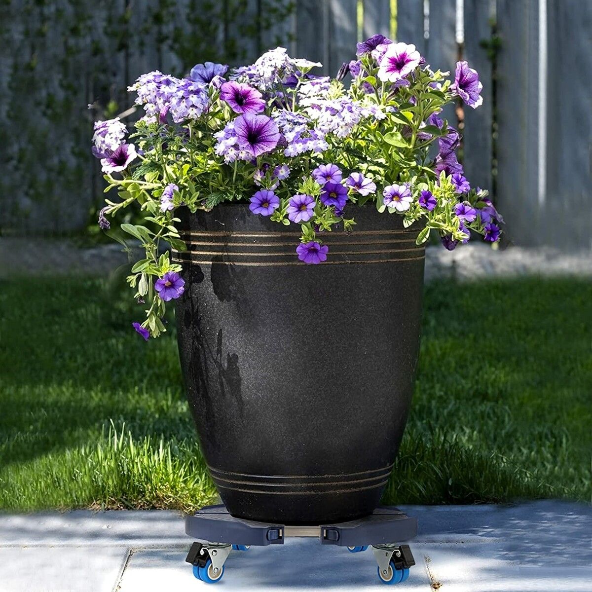 https://img.crazysales.com.au/products_pictures/347/347088_3055207_F.jpg