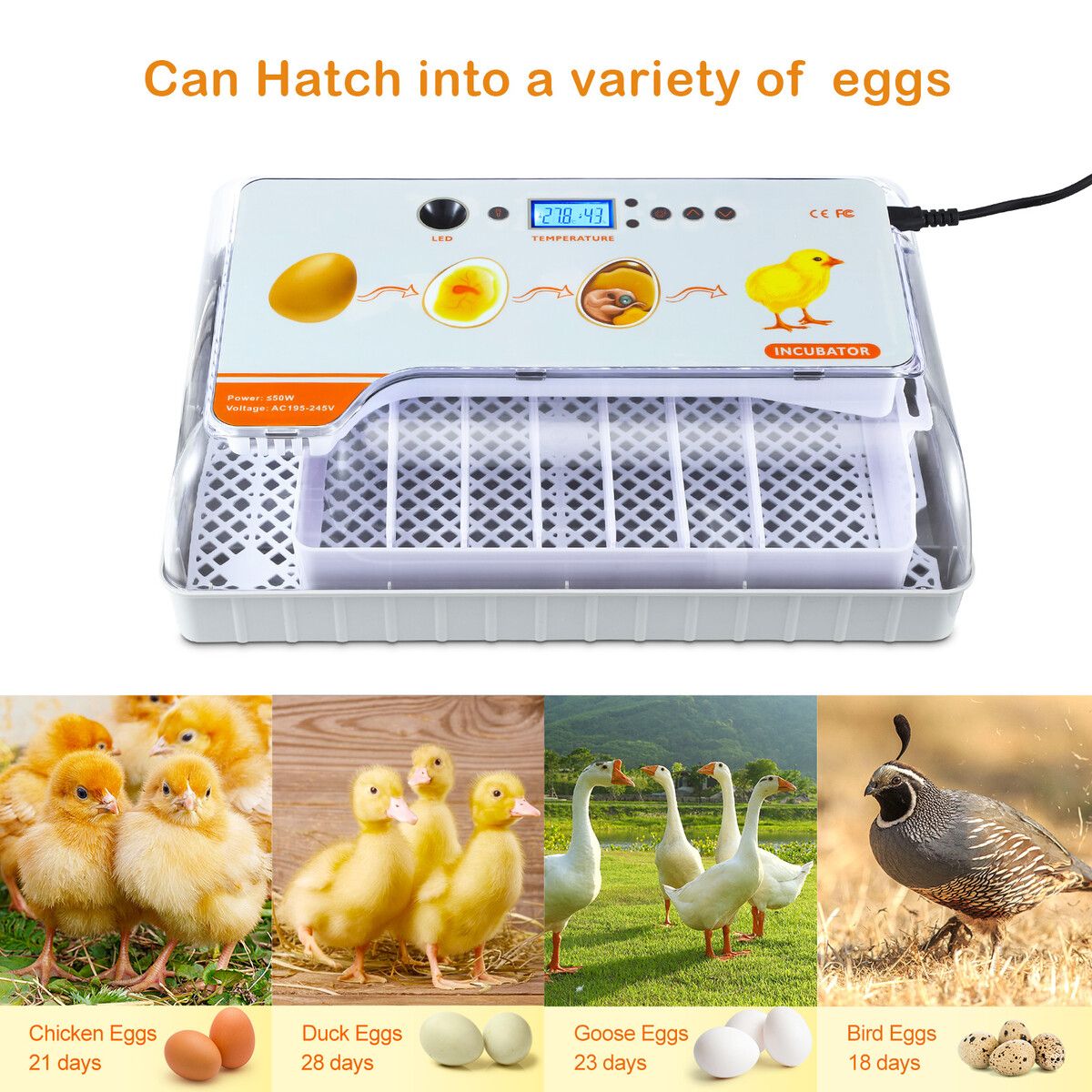 https://img.crazysales.com.au/products_pictures/347/347202_3078255_F.jpg
