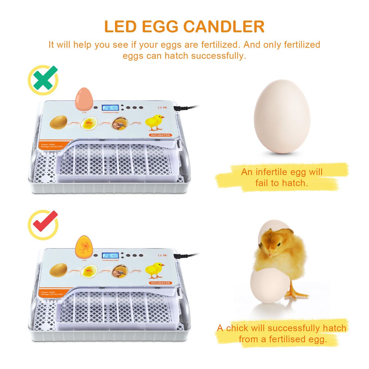 https://img.crazysales.com.au/products_pictures/347/347202_3078256_F.jpg