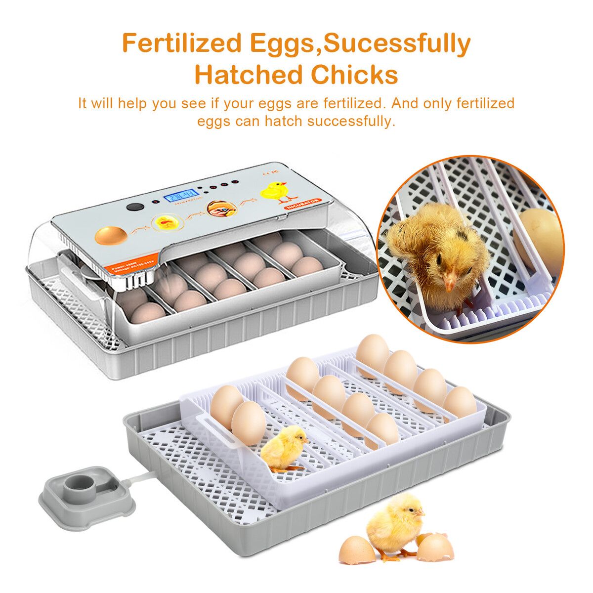 https://img.crazysales.com.au/products_pictures/347/347202_3078257_F.jpg