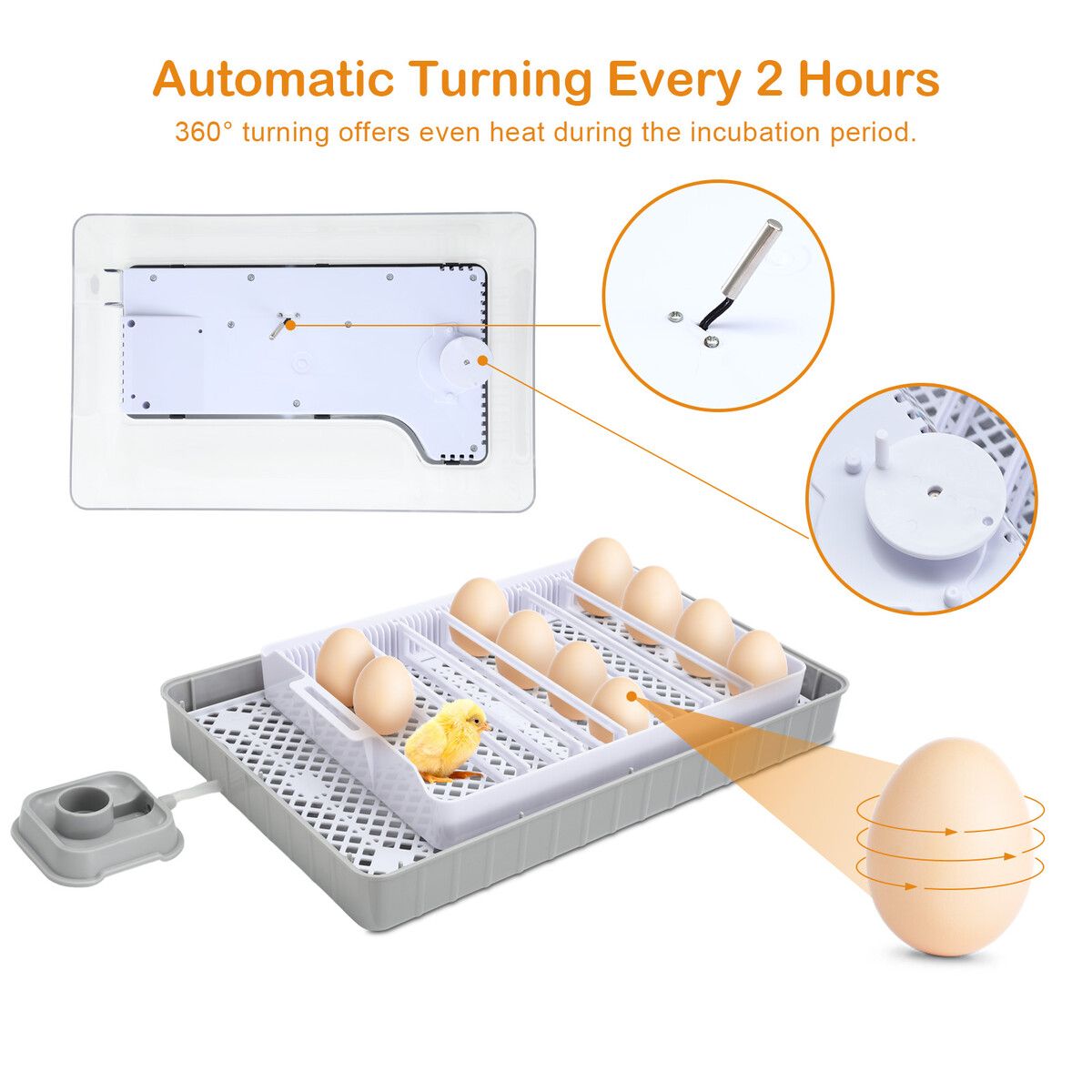 https://img.crazysales.com.au/products_pictures/347/347202_3078258_F.jpg