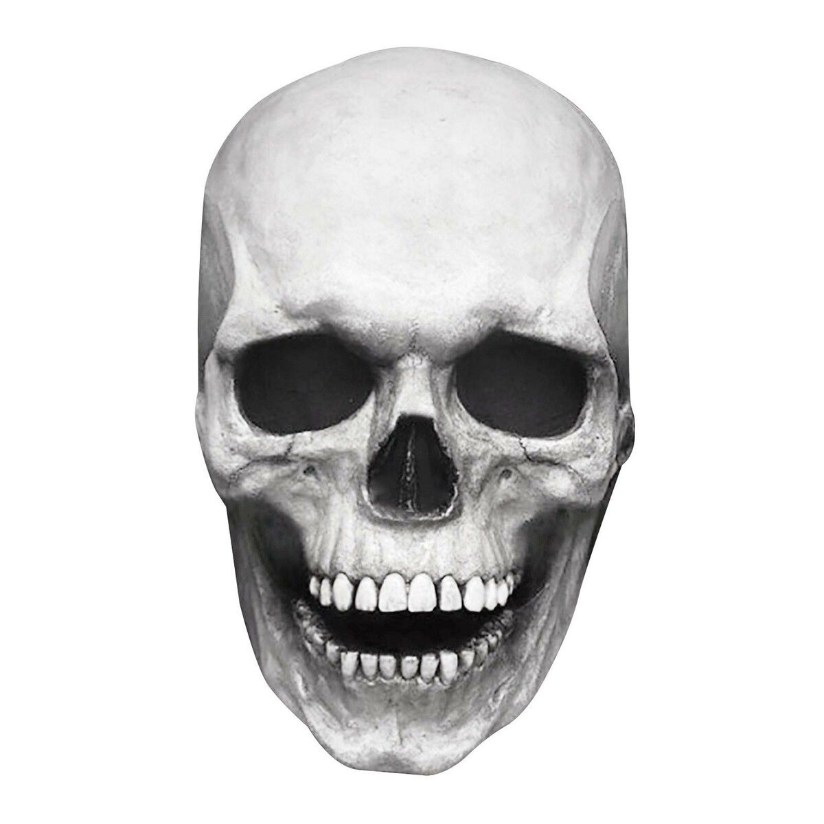 https://img.crazysales.com.au/products_pictures/347/347446_3057780_F.jpg