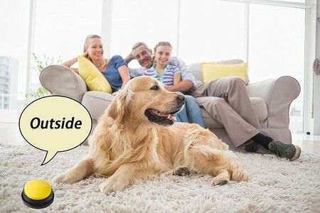 https://img.crazysales.com.au/products_pictures/347/347676_3059598_F.jpg
