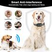 Automatic Anti Bark Dog Collar with 8 Adjustable Sensitivity Levels, Smart Rechargeable Large Medium Small Dogs