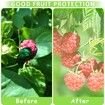 100-Pack 6x8 Inch Fruit Protection Bags/Mesh Cover/Netting Barrier for Plant Fruit Flower